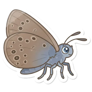 Sticker of Alcon blue