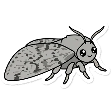 Sticker of American dagger moth
