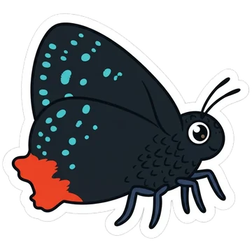 Sticker of Atala butterfly