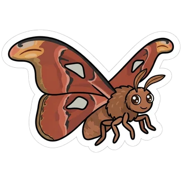 Atlas moth