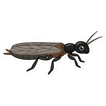 Sticker of Black webspinner