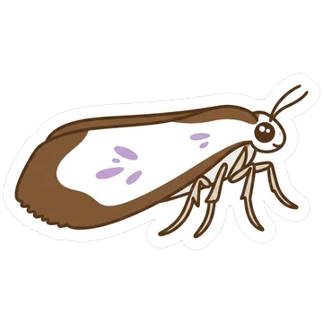 Sticker of Box tree moth