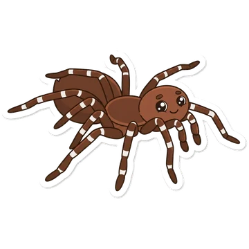 Sticker of Brazilian whiteknee tarantula