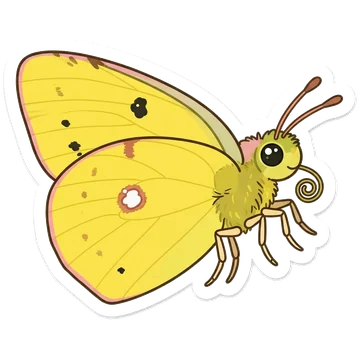 Sticker of Clouded yellow