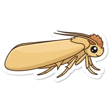 Sticker of Common clothes moth