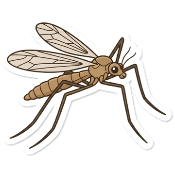 Sticker of Common crane fly