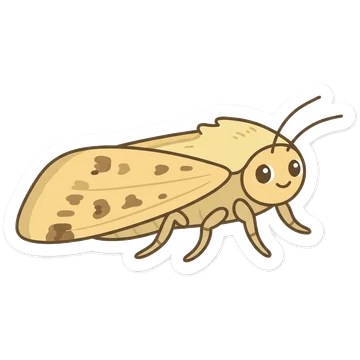 Sticker of Cotton bollworm