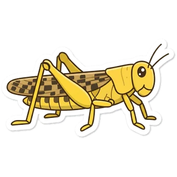 Desert locust