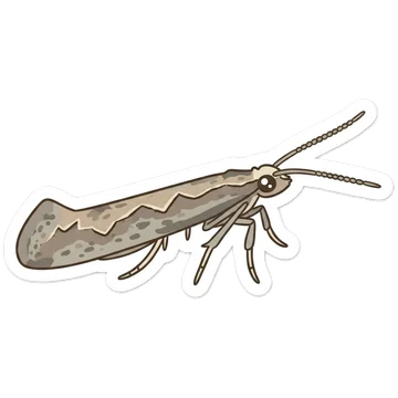 Sticker of Diamondback moth