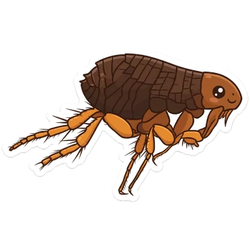 Sticker of Dog flea