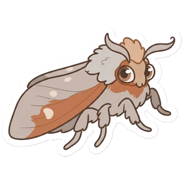 Sticker of Drinker moth