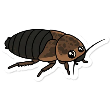 Sticker of Dubia roach