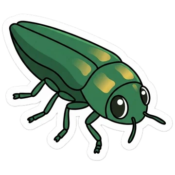 Sticker of Emerald ash borer