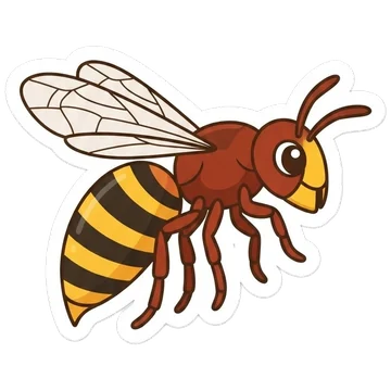 European hornet