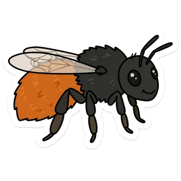 Sticker of European orchard bee