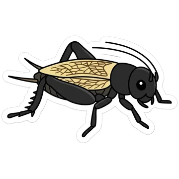Sticker of Field cricket