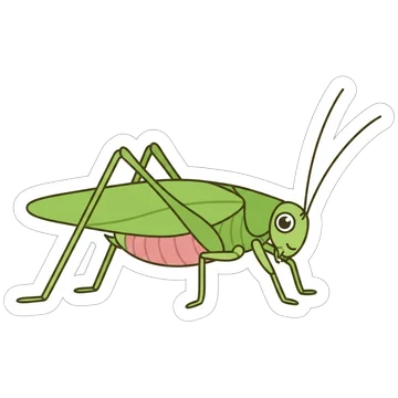 Sticker of Fork-tailed bush katydid
