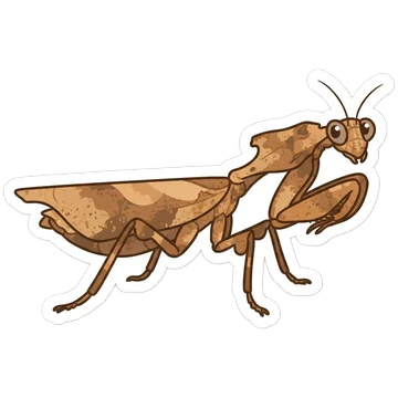 Sticker of Giant dead leaf mantis