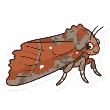 Sticker of Herald moth