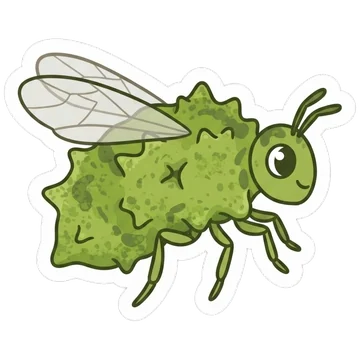 Sticker of Knopper gall wasp
