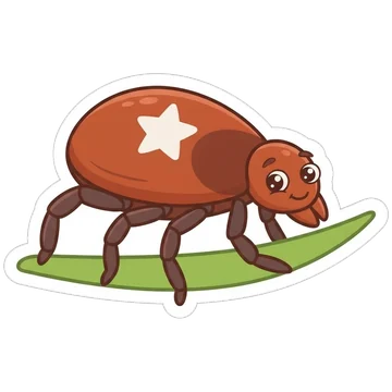 Lone star tick