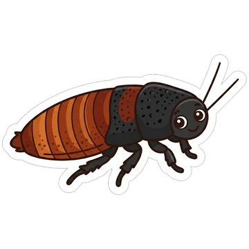 Madagascar hissing cockroach