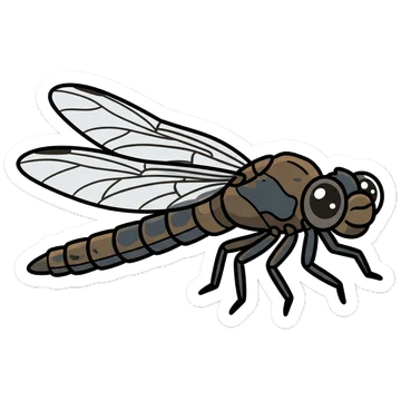Meganeura