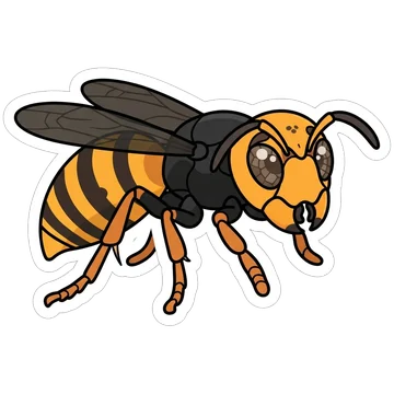 Northern giant hornet