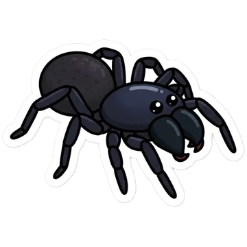 Sticker of Purseweb spider