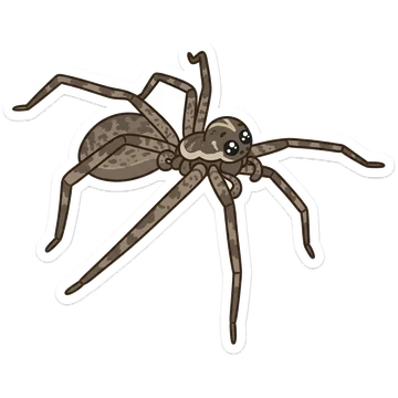 Sticker of Rain spider