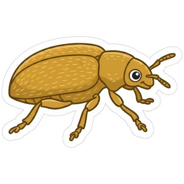 Sticker of Raspberry beetle