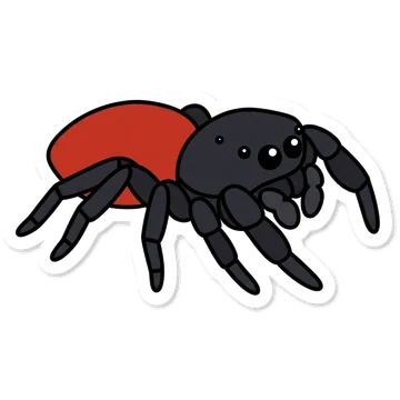 Sticker of Red-backed jumping spider