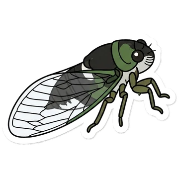 Sticker of Swamp cicada