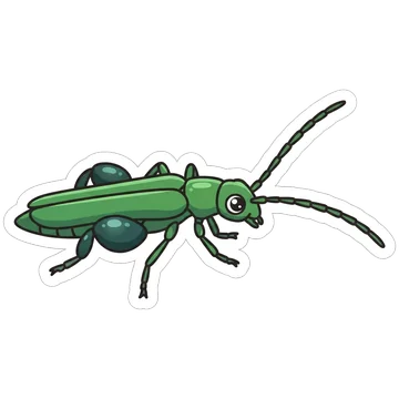 Sticker of Swollen-thighed beetle