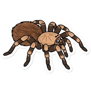Sticker of Texas brown tarantula