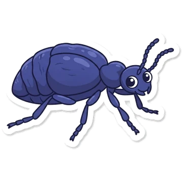 Sticker of Violet oil beetle