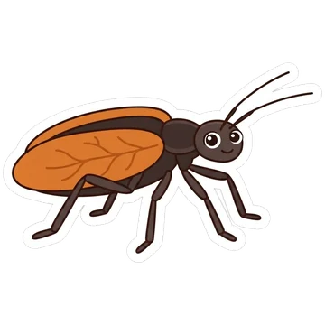 Kleeps: Violin beetle