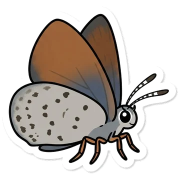 Sticker of Western pygmy blue