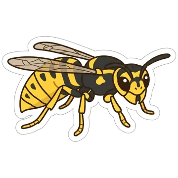 Sticker of Western yellowjacket